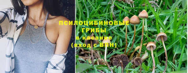 трава Баксан
