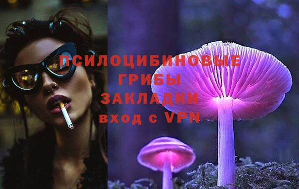 дмт Балахна