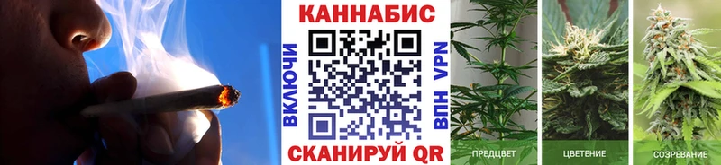 Марихуана VHQ  Купить где  Новоузенск 